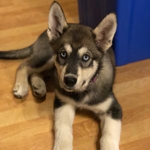 Meet your Posher, Shanna